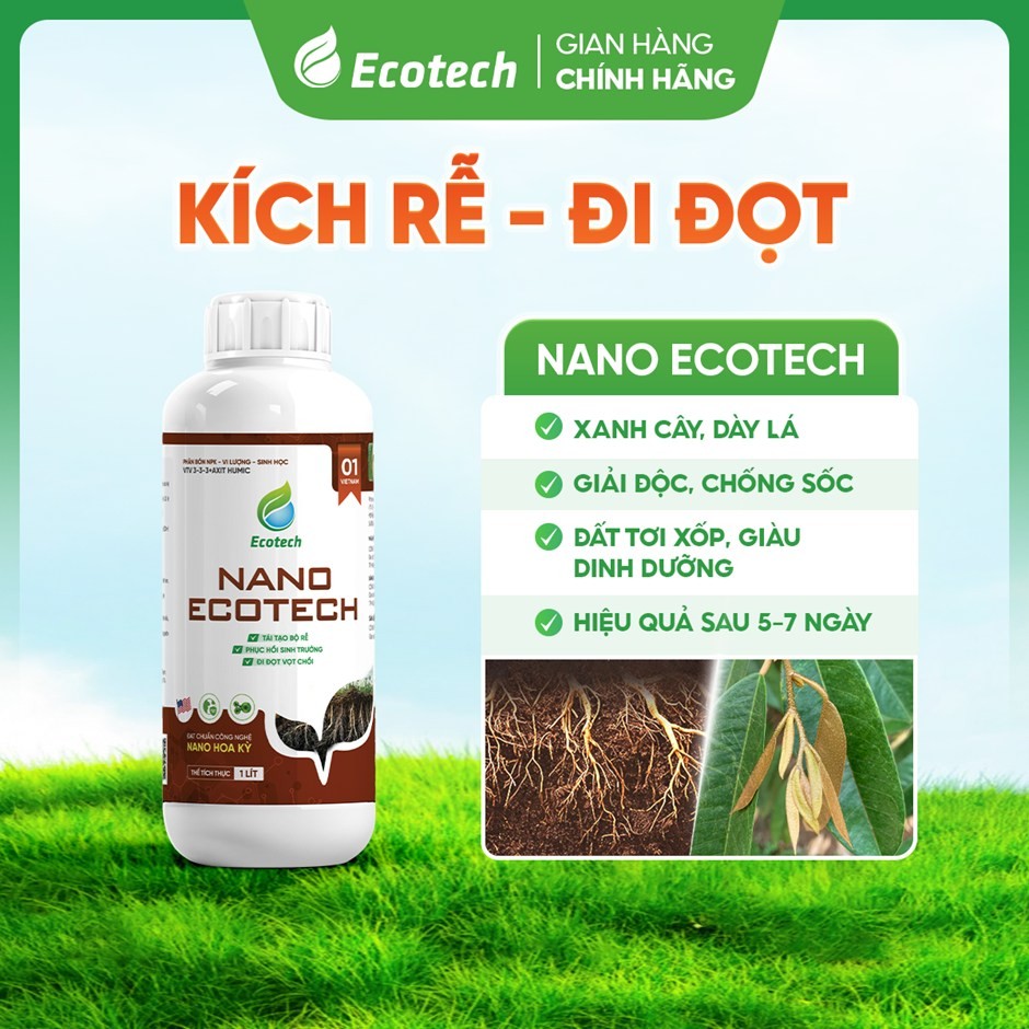 nano-ecotech-2-1773059928.jpg