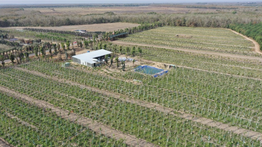 n1-1778138465.png