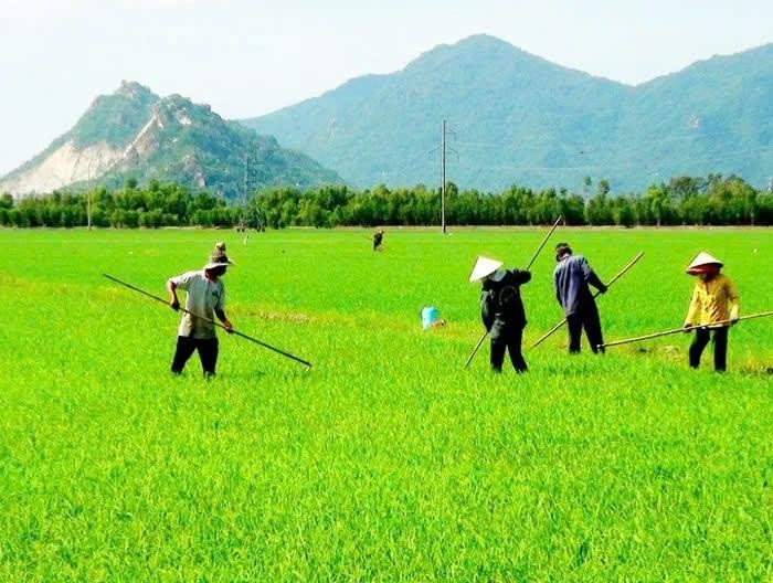 phat-trien-vung-canh-tac-ben-vung-1779176829.jpg