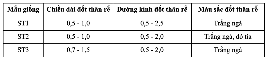 b3-1780667088.png