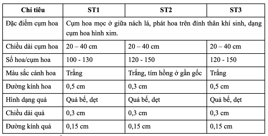 b5-1780667088.png