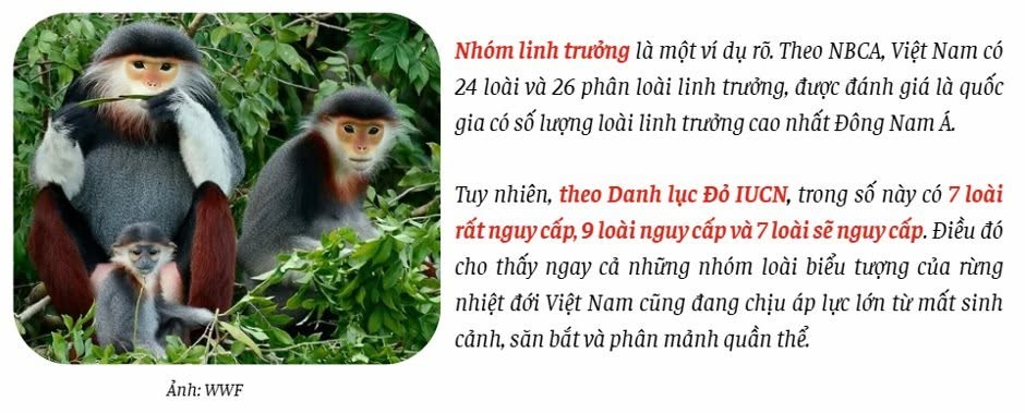 da-dang-sinh-hoc-3-1781173278.jpg