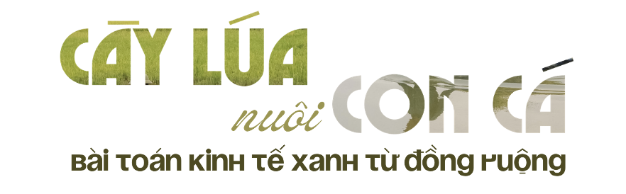 x8-1781575338.png