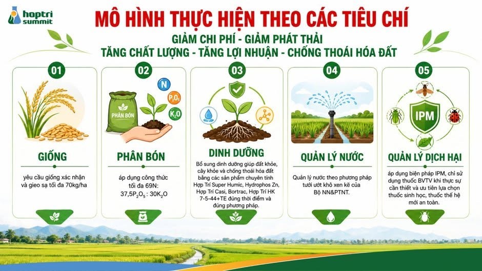 canh-tac-lua-1-1786673558.jpg