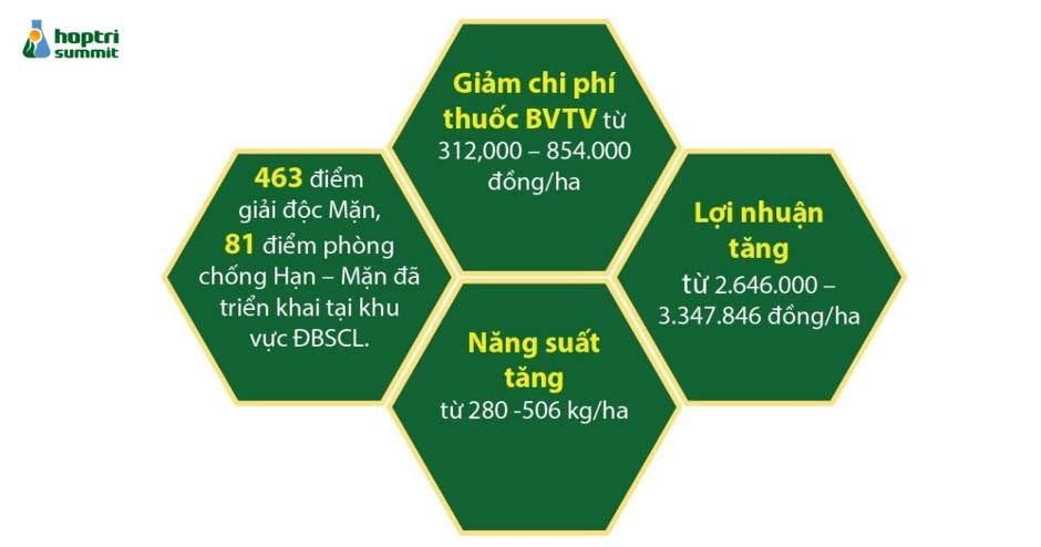 canh-tac-lua-3-1786673558.jpg