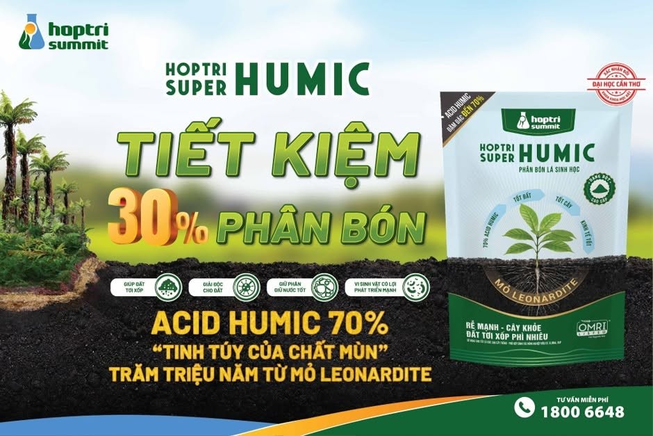 canh-tac-lua-5-1786673558.jpg