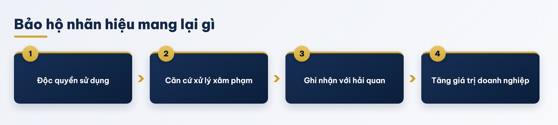 bao-ho-nhan-hieu-mang-lai-gi-1788574736.jpg