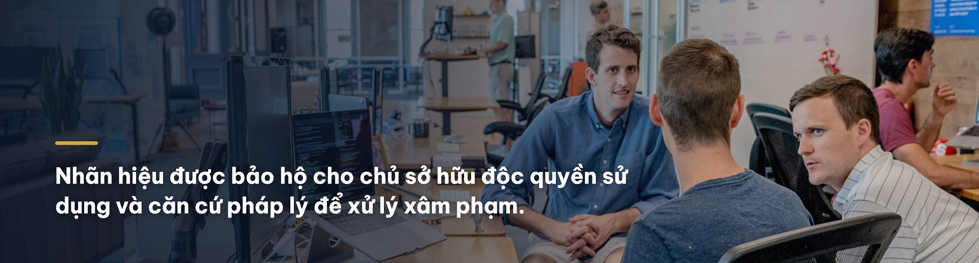 nhan-hieu-duoc-bao-ho-1788574736.jpg