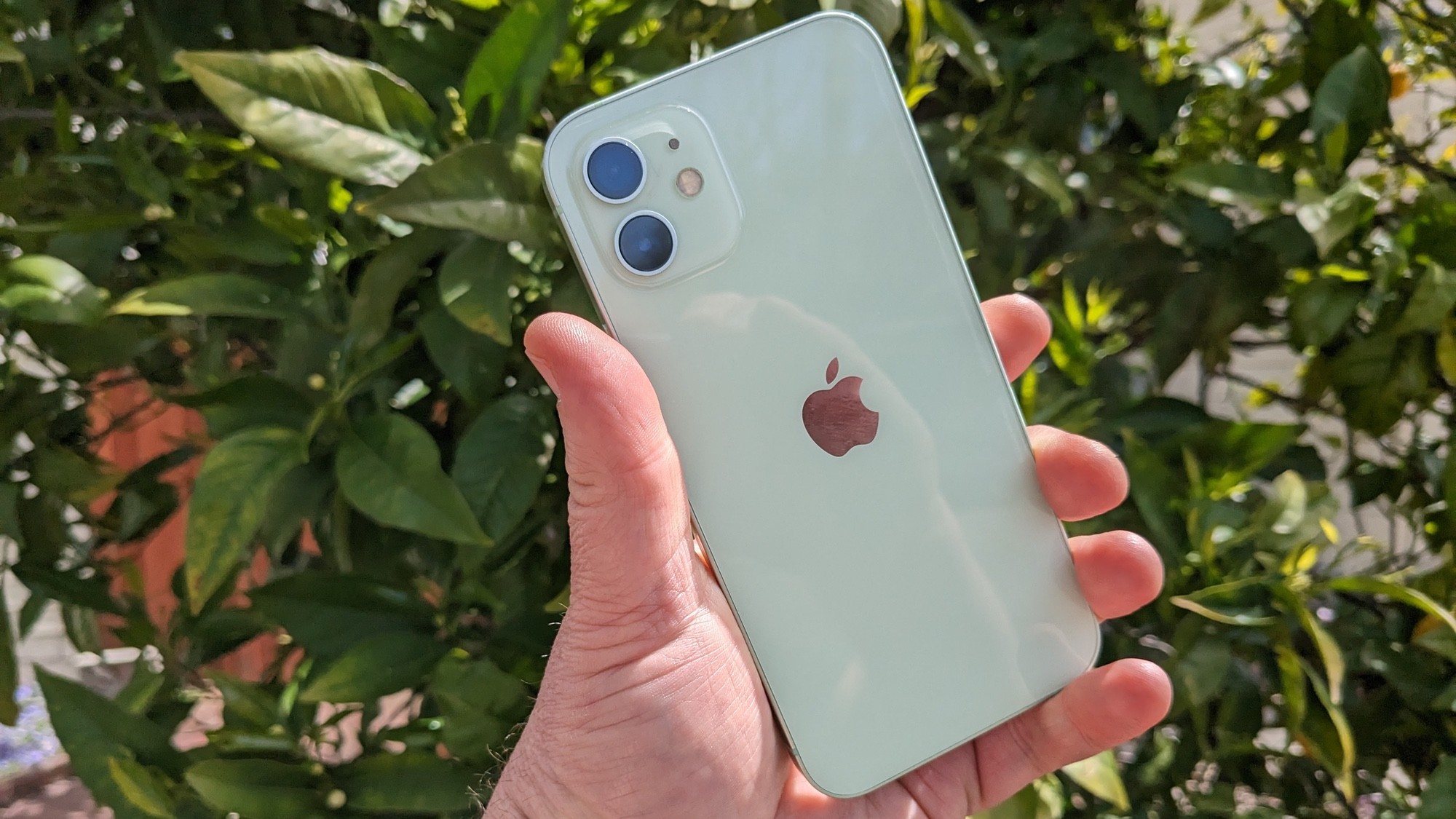 gia-iphone-12-1791453890.jpg