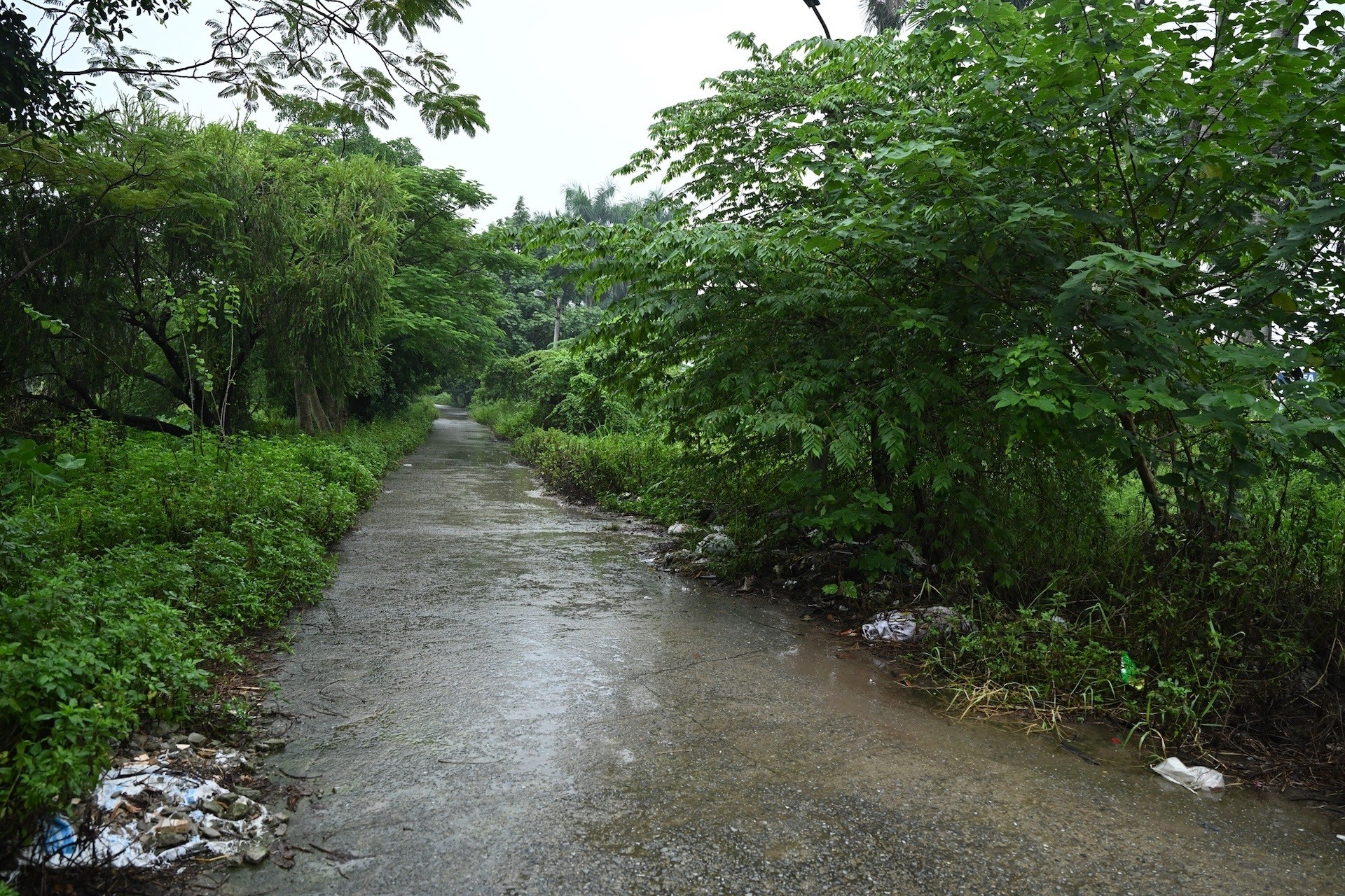 cong-vien-sinh-thai-phuong-vinh-hung-1791876906.jpg