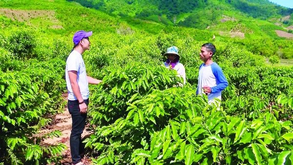 HƯỚNG TỚI NÔNG NGHIỆP SINH THÁI, NÔNG THÔN HIỆN ĐẠI, NÔNG DÂN CHUYÊN NGHIỆP, VĂN MINH
