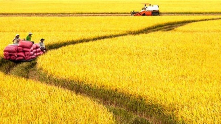 Xu thế phát triển Nông nghiệp Đông Nam Á và Việt Nam đến năm 2030, tầm nhìn 2050 (Phần 2)