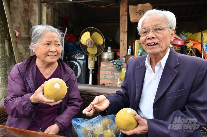 Bưởi làng La Tinh khiến người ốm ăn cũng khỏe lại