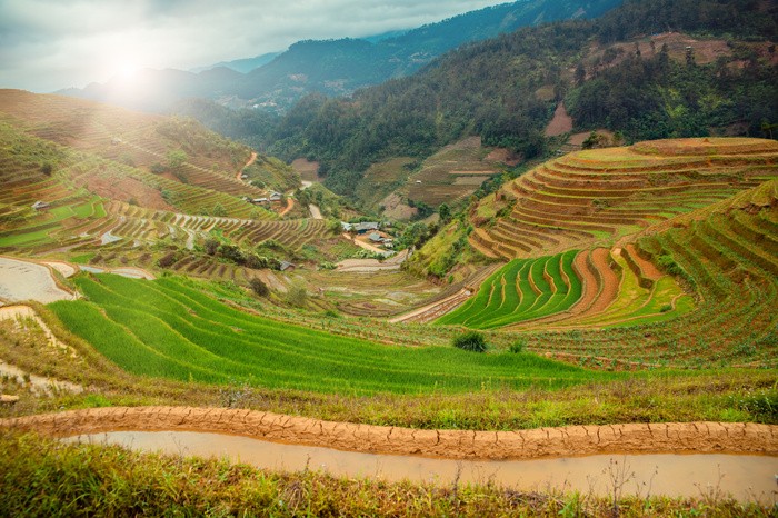 Xiêu lòng trước vẻ đẹp bức tranh vùng Tây Bắc khi mùa đổ nước về