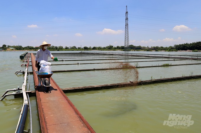 Học miền Nam để chuyên nghiệp nuôi thủy sản phía Bắc