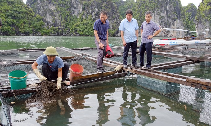 Nơi làm ra 'kết quả thật, giá trị thật' về giống hải sản
