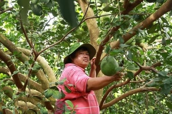 Anh nông dân người Nùng tích cực xây dựng quê hương