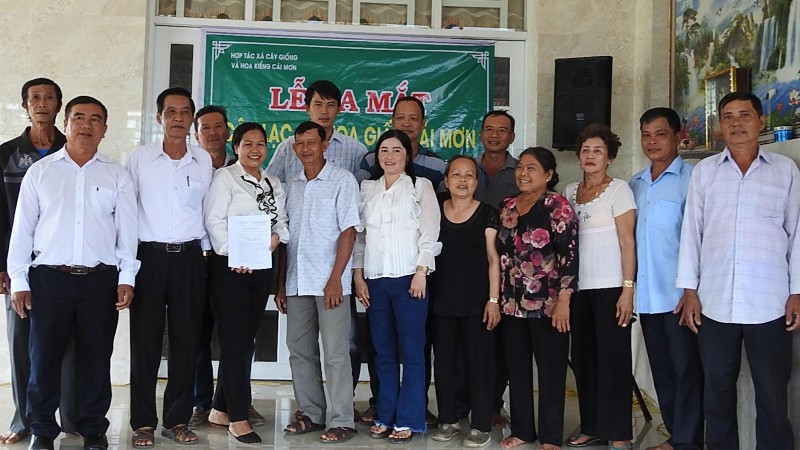 Ra mắt câu lạc bộ hoa giấy Cái Mơn tại Bến Tre