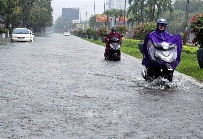 Bộ Nông nghiệp và Phát triển nông thôn chỉ đạo các địa phương Bắc Bộ, Bắc Trung Bộ ứng phó với áp thấp và mưa lớn