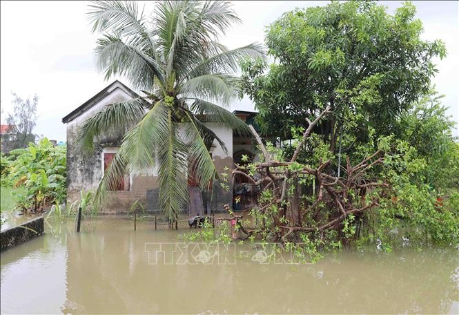 Khẩn trương triển khai phương án ứng phó mưa lớn, khắc phục hậu quả thiên tai