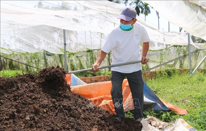 Đồng Tháp: Xây dựng hơn 100 mô hình sản xuất nông nghiệp sạch, hữu cơ
