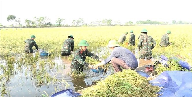 Triển khai các biện pháp nhanh chóng phục hồi sản xuất nông nghiệp sau bão số 3 và mưa lũ