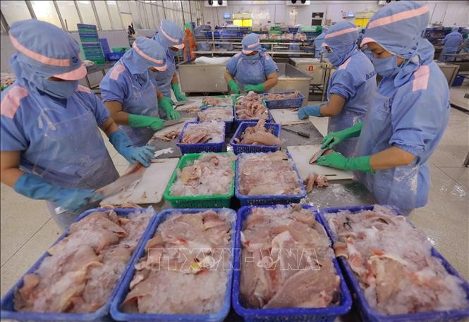 Xuất khẩu thủy sản 9 tháng của năm 2024 tăng 8,5%