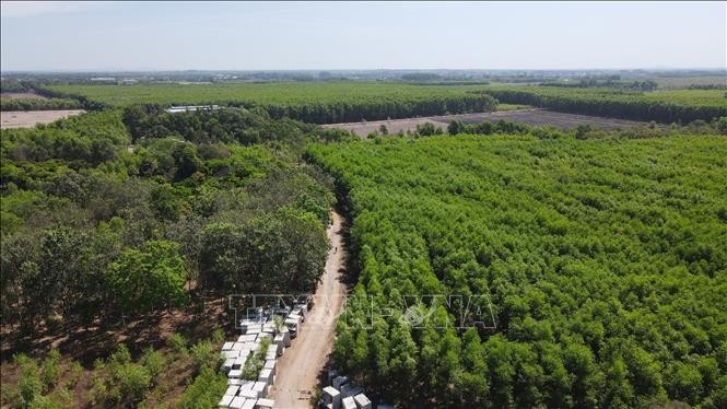 Điều chỉnh chủ trương chuyển mục đích sử dụng rừng, đất rừng và đất trồng lúa nước từ hai vụ trở lên của Dự án xây dựng công trình đường bộ cao tốc Bắc - Nam phía Đông giai đoạn 2021 - 2025