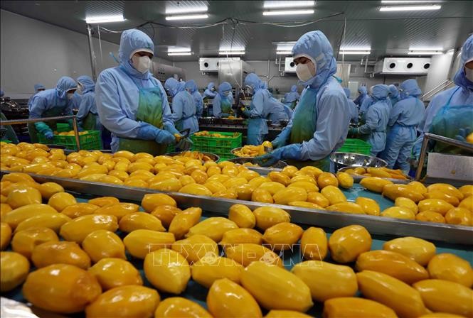 Các ngành hàng thực phẩm và nông nghiệp Việt có nhiều cơ hội thâm nhập thị trường các quốc gia Hồi giáo (Halal)