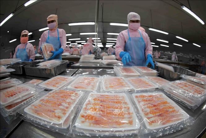 Xuất khẩu tôm 11 tháng đạt gần 3,6 tỷ USD