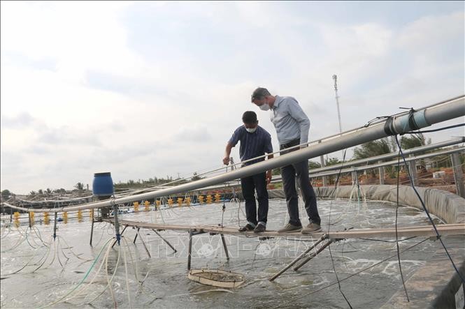 Trà Vinh ứng dụng công nghệ trong nuôi thủy sản  