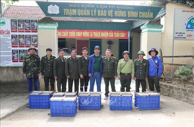 Thả 11 con khỉ quý hiếm về môi trường tự nhiên ở Pù Huống (Nghệ An)