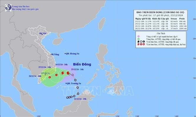 ​Các tỉnh, thành phố ven biển từ Phú Yên đến Cà Mau chủ động ứng phó bão số 10
