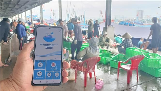 Hỗ trợ cấp hồ sơ truy xuất nguồn gốc thủy sản trên hệ thống eCDT tại 28 tỉnh, thành phố ven biển