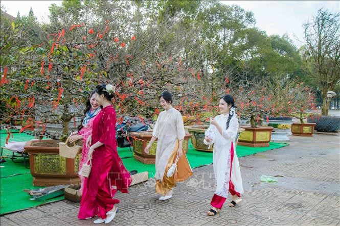 Mùng 1 Tết Ất Tỵ (2025) thời tiết cả ba miền thuận lợi để người dân du Xuân, chúc Tết