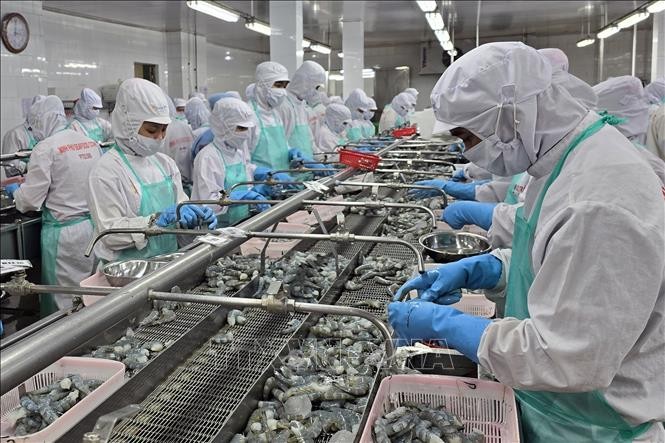 Ngành thuỷ sản với mục tiêu xuất khẩu vươn tới mốc 11 tỷ USD trong năm 2025