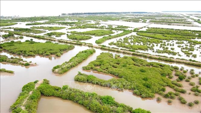 Ngày Đất ngập nước thế giới (2/2) năm 2025: Bảo vệ đất ngập nước vì tương lai của chúng ta