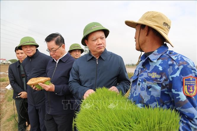Thái Bình động viên sản xuất nông nghiệp đầu năm mới
