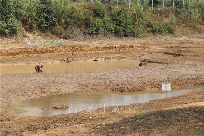Kon Tum: Công trình thủy lợi cạn đáy, người trồng cà phê có nguy cơ mất mùa