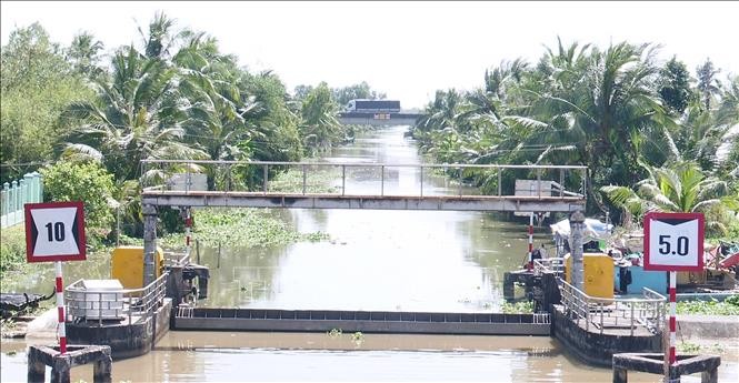 Đồng bằng sông Cửu Long: Xâm nhập mặn tăng cao, các địa phương cần tích trữ nước ngọt