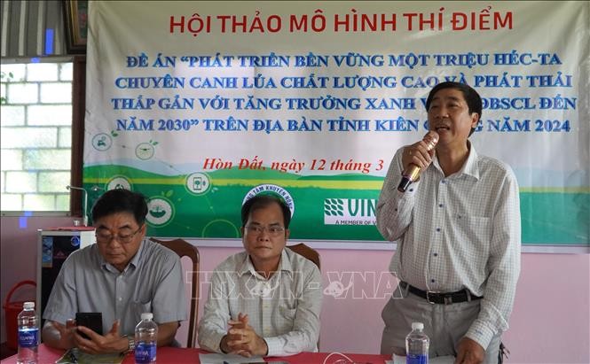 Kiên Giang: Mở rộng diện tích thực hiện Đề án 1 triệu ha lúa chuyên canh chất lượng cao