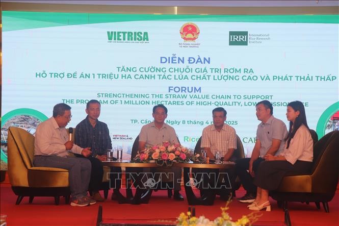 Tăng chuỗi giá trị rơm rạ - Hỗ trợ Đề án 1 triệu ha lúa chất lượng cao và phát thải thấp