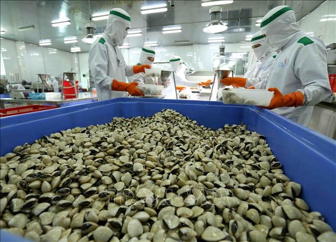 Bốn tháng đầu năm, xuất siêu nông - lâm - thủy sản đạt gần 5,2 tỷ USD