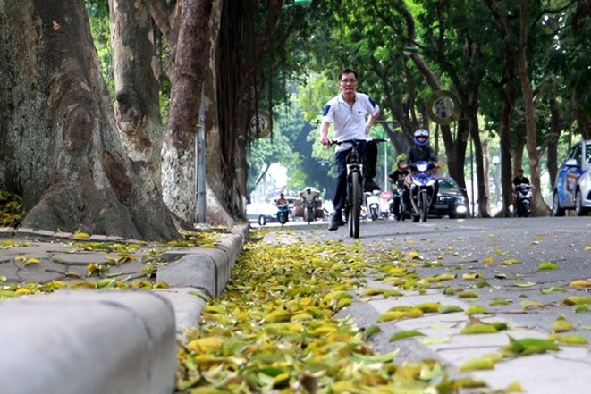 Bắc Bộ và Bắc Trung Bộ đêm có mưa, ngày nắng