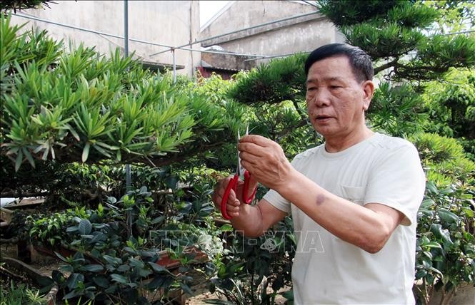 Nam Định: Nhiều tập thể, cá nhân làm việc có ích theo gương Bác