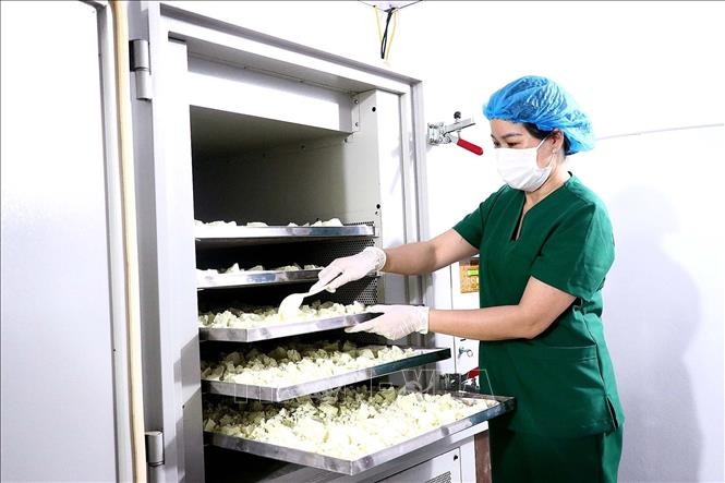 Hoà Bình: Gia tăng nội lực và giá trị cho sản phẩm OCOP