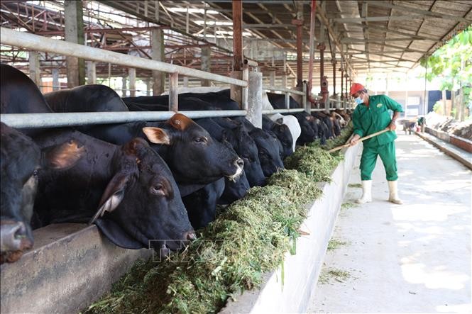 Tây Ninh: Rút ngắn khoảng cách giữa nhà sản xuất và người tiêu dùng sản phẩm nông sản