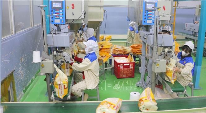 Việt Nam thuộc nhóm nước tự chủ lương thực hàng đầu