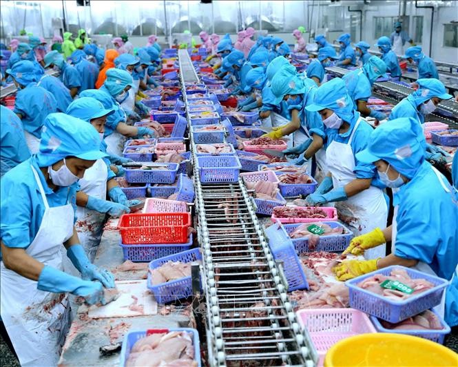 Nông sản Việt hướng tới thị trường Halal