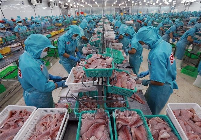 Xuất khẩu thủy sản dự báo nhiều thách thức trong nửa cuối năm 2025